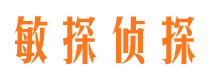 施甸侦探